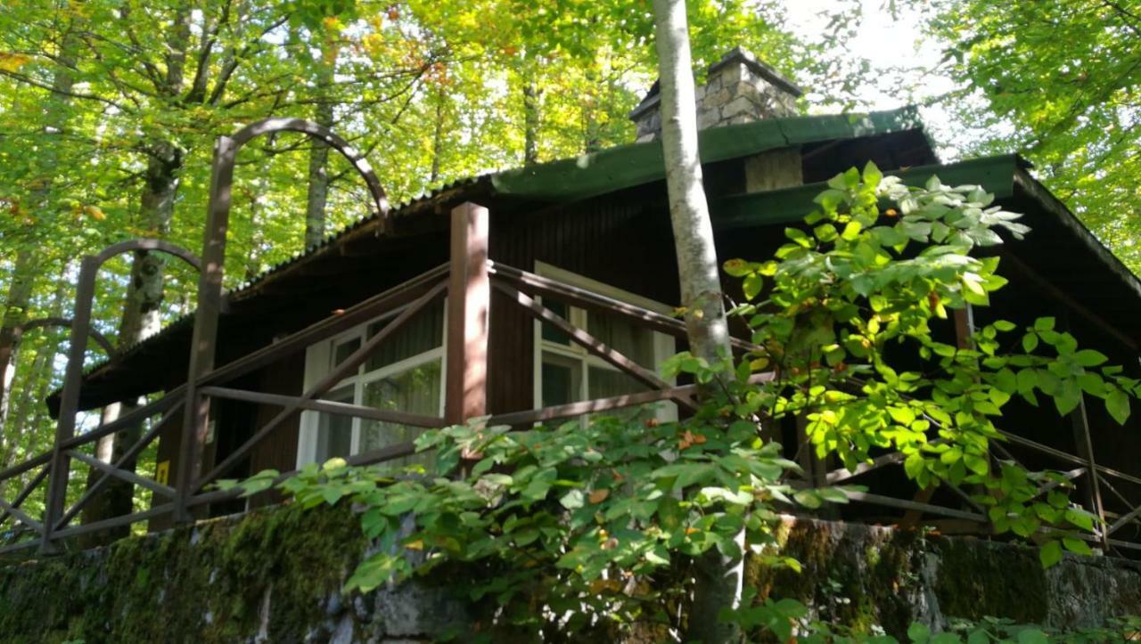 Habitat Mesire Guest House Mengen Eksteriør bilde