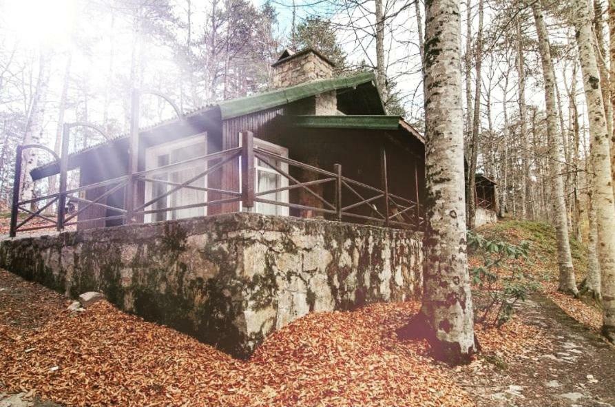 Habitat Mesire Guest House Mengen Eksteriør bilde
