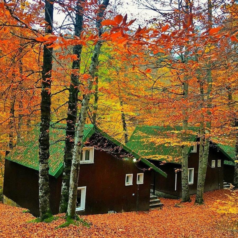 Habitat Mesire Guest House Mengen Eksteriør bilde