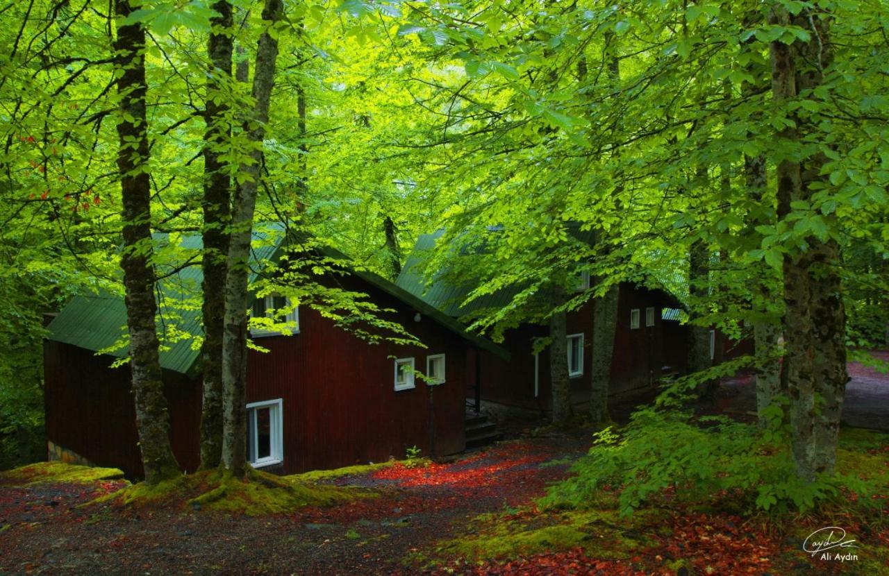 Habitat Mesire Guest House Mengen Eksteriør bilde